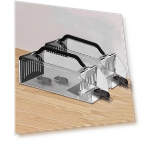 Fully Automatic Mouse Trap — Traps, Qingzhichen