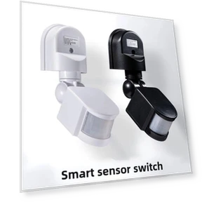 Infrared Light Sensor with Human Induction — Night Vision Enhancers, Wuherote