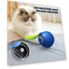 Interactive Cat Toy Ball — Cat Playthings, Vogue Wardrobe
