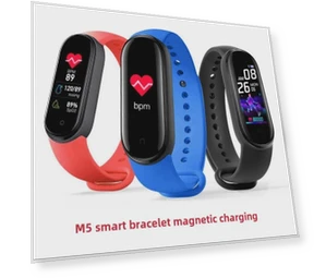 Smart Bracelet — Wearable Accessories, Smarter than future
