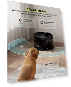 Wireless Dog Water Fountain — Fountains, AE Selection
