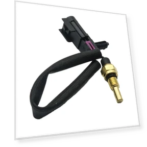 Coolant Temperature Sensor — Coolant Temperature, Skyfree