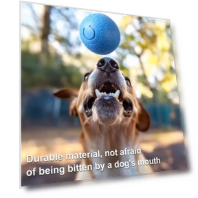 Interactive Rolling Ball Toy for Dogs — Automatic Launchers, The Secret Life of Pet