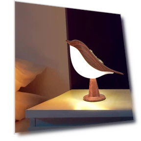 Night Light Aroma Therapy Lamp — Lamps & Shades, Apex Gear