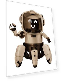 Programming Follow Speak forCHROME Talking Robot — Interactive Learning Devices, Elekit