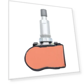 Tire Pressure Sensors Repair — Air Bag, loverapple