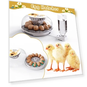 Automatic Egg Turner for Hatching — Egg Cookers, Aquariusg