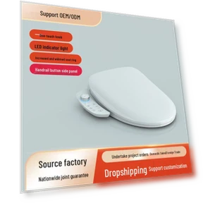 Automatic Heated Smart Toilet Seat — Bathroom Essentials, ElectroCN