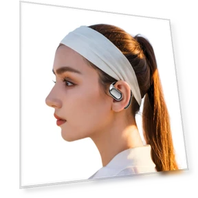 Bluetooth Translator Earbuds — Language Translators, Good Household Items