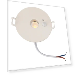 Ceiling Light PIR Motion Sensor LED Downlight — Overhead Lighting, CosyHome