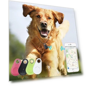 Mini GPS Tracker for Pets — Location Tracking Devices, Wrigleys
