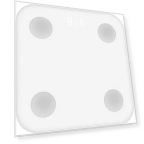 Smart Bluetooth Body Fat Scale — Weight Management Tools, Wellness Zone