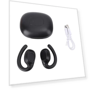 Language Translation Earbuds — Language Translators, DIYelecs
