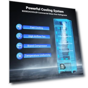 Commercial Beverage Refrigerator and Cooler — Drink Coolers, BODEGA