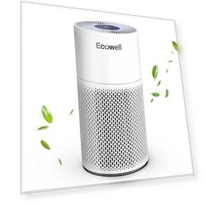 Large Room Air Purifier with Air Quality Sensor — Activated Carbon Air Purifiers, ECOWELL