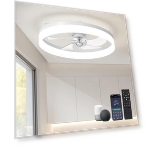 Smart Ceiling Fan with Lights — Ceiling Fan Wall Controls, LUDOMIDE