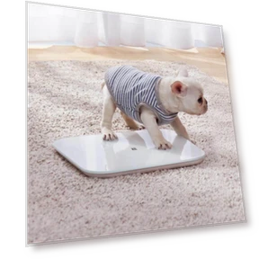Smart Scale 2 — Weight Management Tools, Mijia