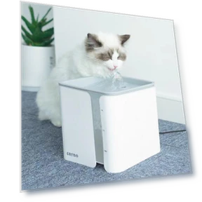 Automatic Cat Fountain — Pet Hydration Solutions, Five Colorful