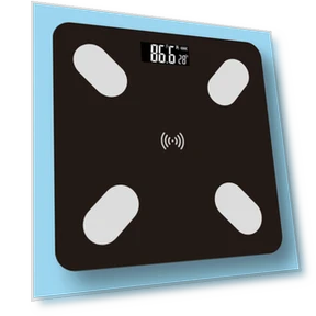 Smart Bathroom Floor Scale — Weight Management Tools, MR J