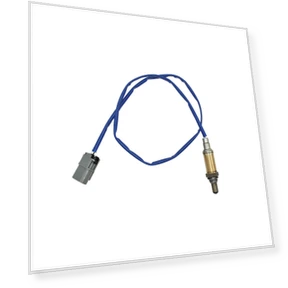 Oxygen sensor — Acceleration, Tesla Car parts
