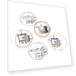 Refrigerator Thermostat — Beverage Cooler Spare Parts, Treasure Hom
