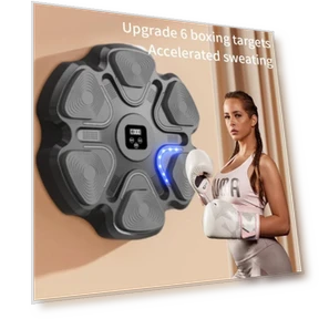 Smart Music Boxing Trainer — Boxing Training Gear, ZPG