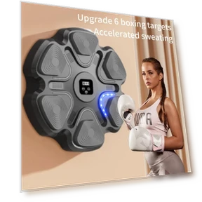 Smart Musical Boxing Trainer — Boxing Training Gear, happy8
