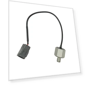 With wire detonation sensor — Detonation, Tesla Car parts