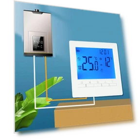 Programmable Digital Gas Boiler Thermostat — Home Climate Control, Wrigleys