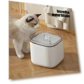 Automatic Pet Water Fountain — Fountains, Vogue Wardrobe