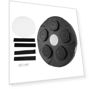 Bluetooth Smart Boxing Trainer — Boxing Training Gear, Sport2ZY