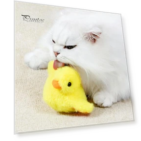 Flapping Wings Duck Cat Toy — Interactive, Pet park