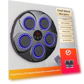 Bluetooth Boxing Trainer with Gloves — Boxing Training Gear, Outdoor Sport Hobby