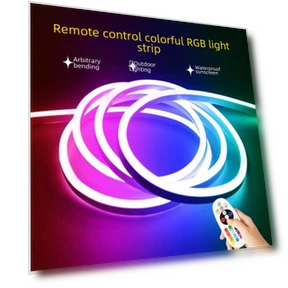 Flexible LED Neon Strip RGB — LED Strips, Smarter than future