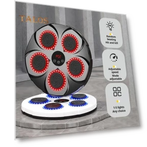 Bluetooth Boxing Trainer with Gloves — Boxing Training Gear, ZTTO