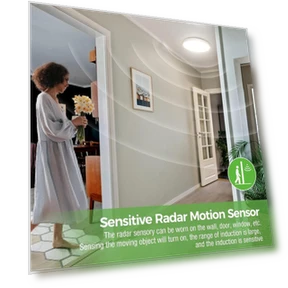 LED Radar Sensor Ceiling Lamp — Garden Illumination, AE Selection