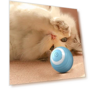 Automatic Rolling Cat Toy — Cat Playthings, Home Furnishing Department Mall