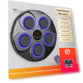 Bluetooth Boxing Trainer with Gloves — Boxing Training Gear, Sports Accessory