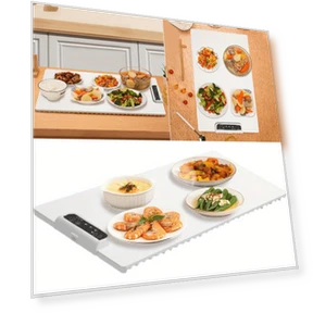 Electric Temperature-Adjustable Heating Plate — Beverage Warmers, DC-Home-2