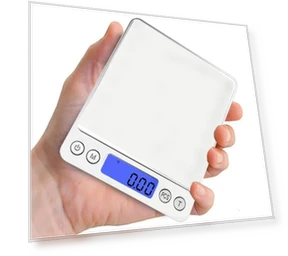 Electronic Digital Scales Balance Precision — Precision Weighing Solutions, Seahorse Home