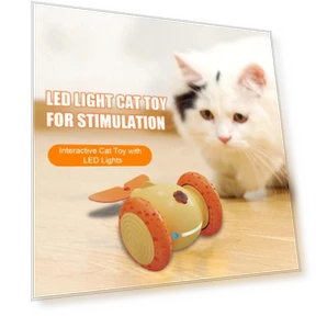 Interactive Cat Toy — Cat Playthings, Love Pet House