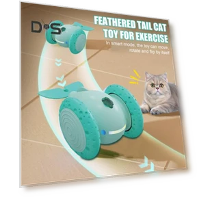 Interactive Cat Toy — Cat Playthings, Kitty Cat House