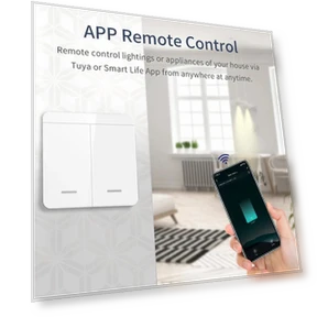 WiFi Smart Switch for Lighting — Smart Home Modules, Home Textile Home Decoration