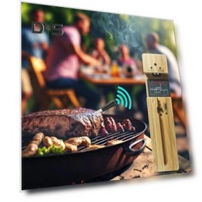 Wireless Meat Thermometer with Bluetooth — Thermometers, DYS Kitchen
