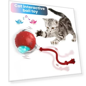 Interactive Cat Toy with Rolling Ball — Cat Playthings, Fashion Accessory