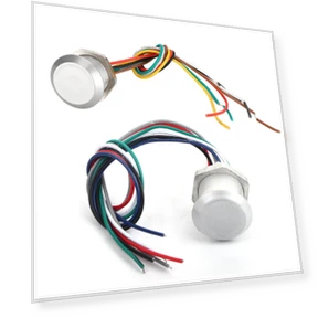 Mini RFID Controller — Biometric Security, Neoglint