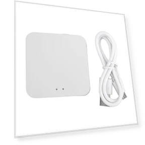 Mini Wireless Gateway for Smart Home Controller — Smart Home Hubs & Controllers, Neoglint