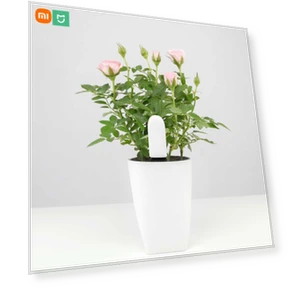 Smart Monitor — Pregnancy Health Monitors, Xiaomi