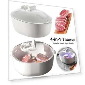 Smart Meat Defroster — Quick-Cook Microwave Ovens, Chic Home