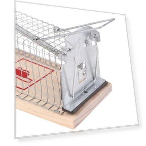 Smart Rat Trap Cage — Traps, Beautymeaning